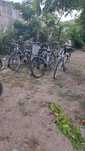 De vinzare biciclete copii si adulți  pret de la 300 de lei in sus
