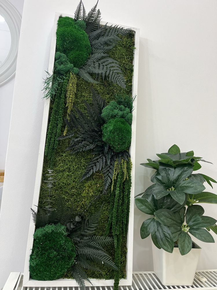 Tablouri cu licheni, plante stabilizate si muschi