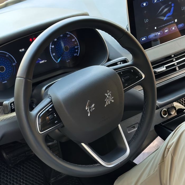 Hongqi 2024
