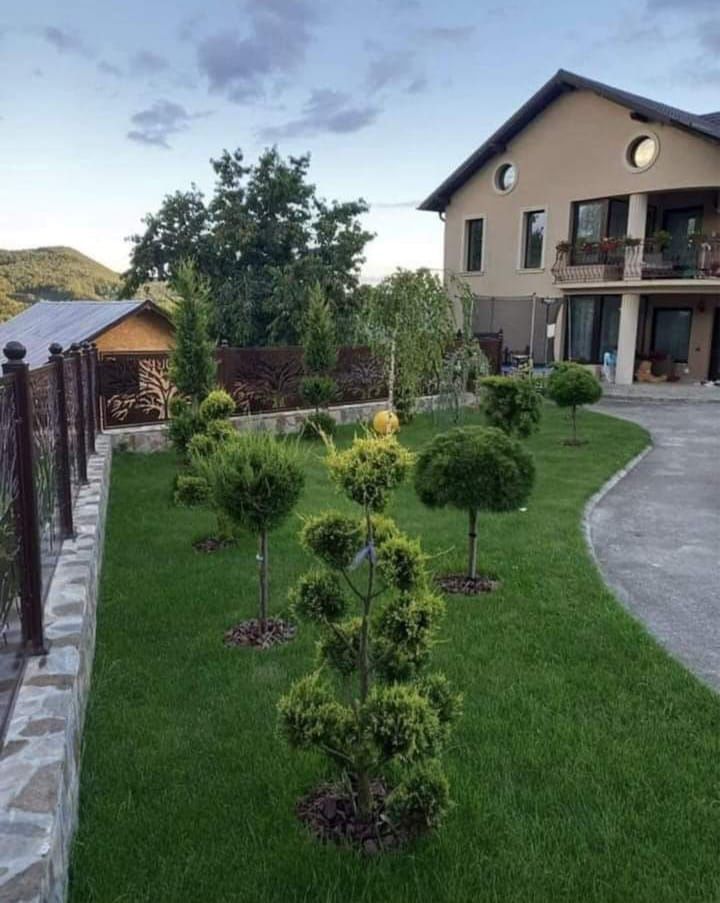 Gazon rulou și Plante Ornamentale