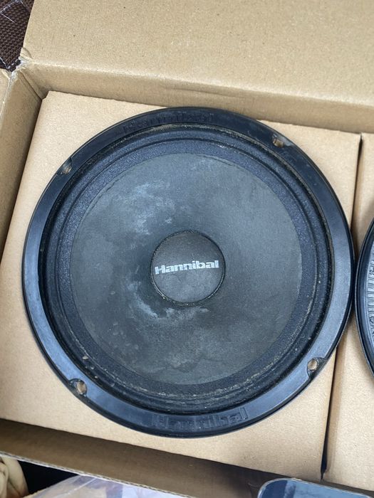 Колонки дианамик буфер саб