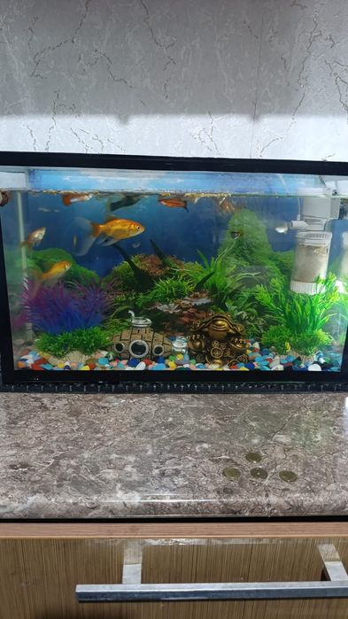 Продаю аквариум 40 литров