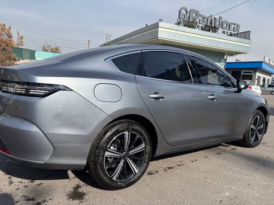 BYD chazor 2023 FULL