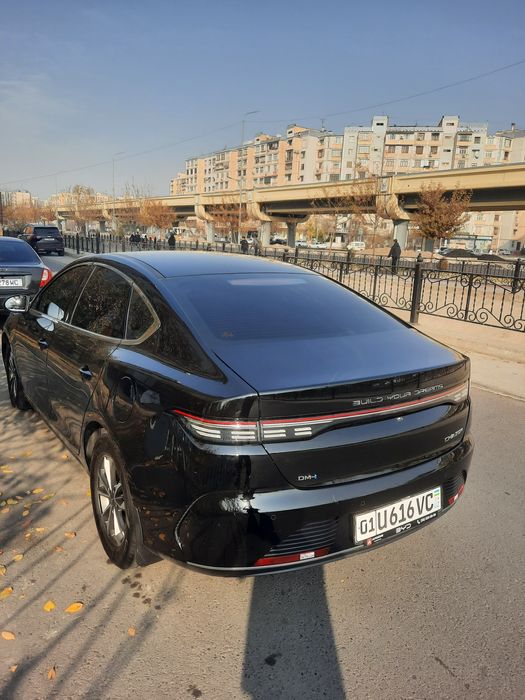 Arenda suxoy BYD Chazor