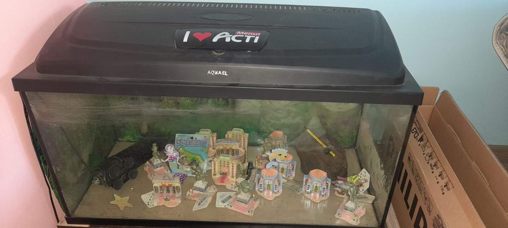 Acvariu aquael 100l
