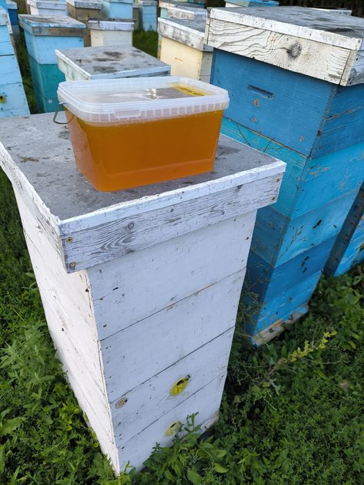 Продается натуральный мёд