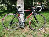 Cursiera Merida full carbon, full ultegra