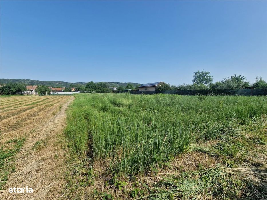 RECO teren intravilan in Fughiu 30 e  mp