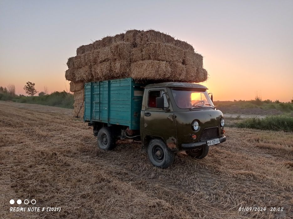 Yili 1981 yoqilgʻi metan balonlari yaxshi holatda