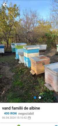Vand familii de albine cu,cutie