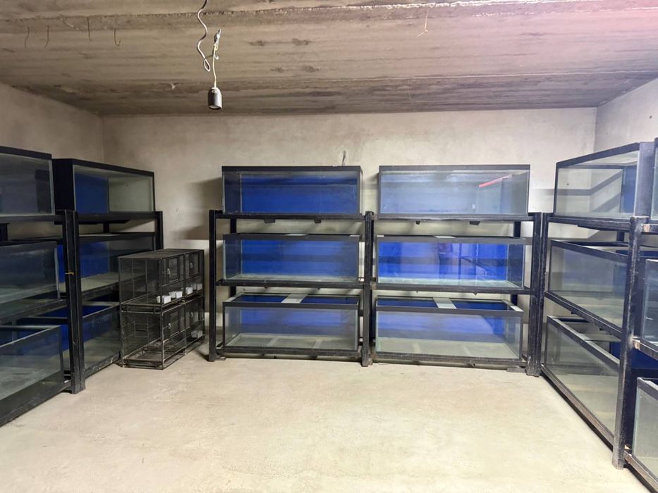 Аквариум и стилажи оптом