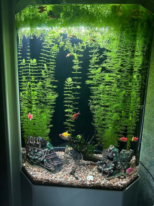 Аквариум акриловый CLEAIR AQUATICS 100 л