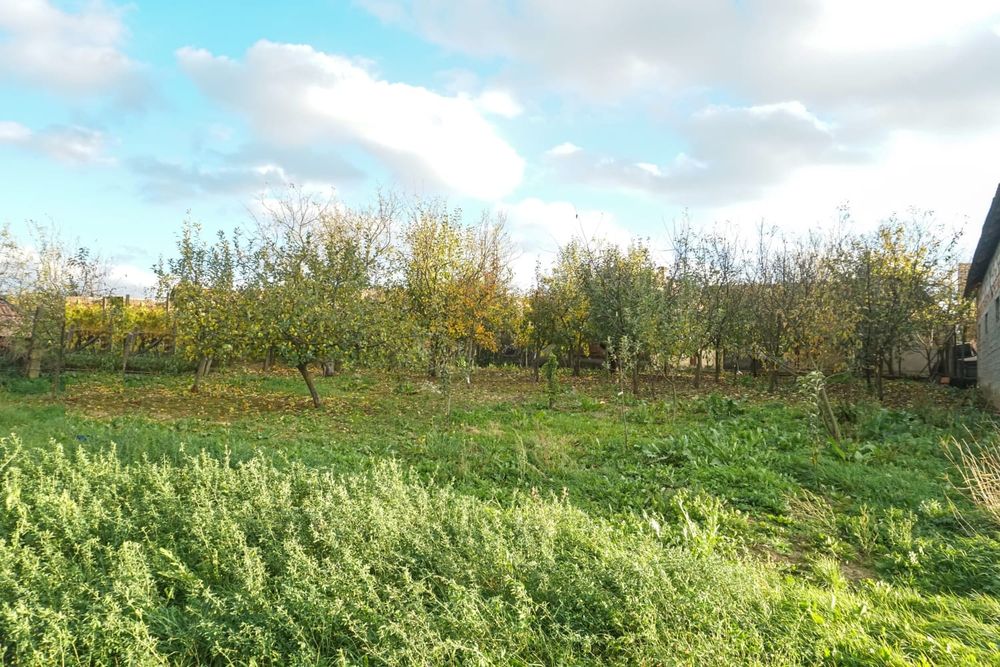 Casa de vanzare + 40 arii teren