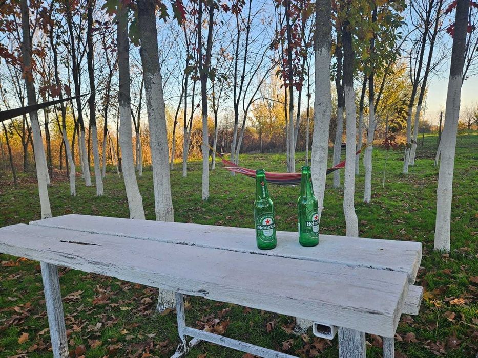 Închiriez teren gradina urbana pentru recreere - București