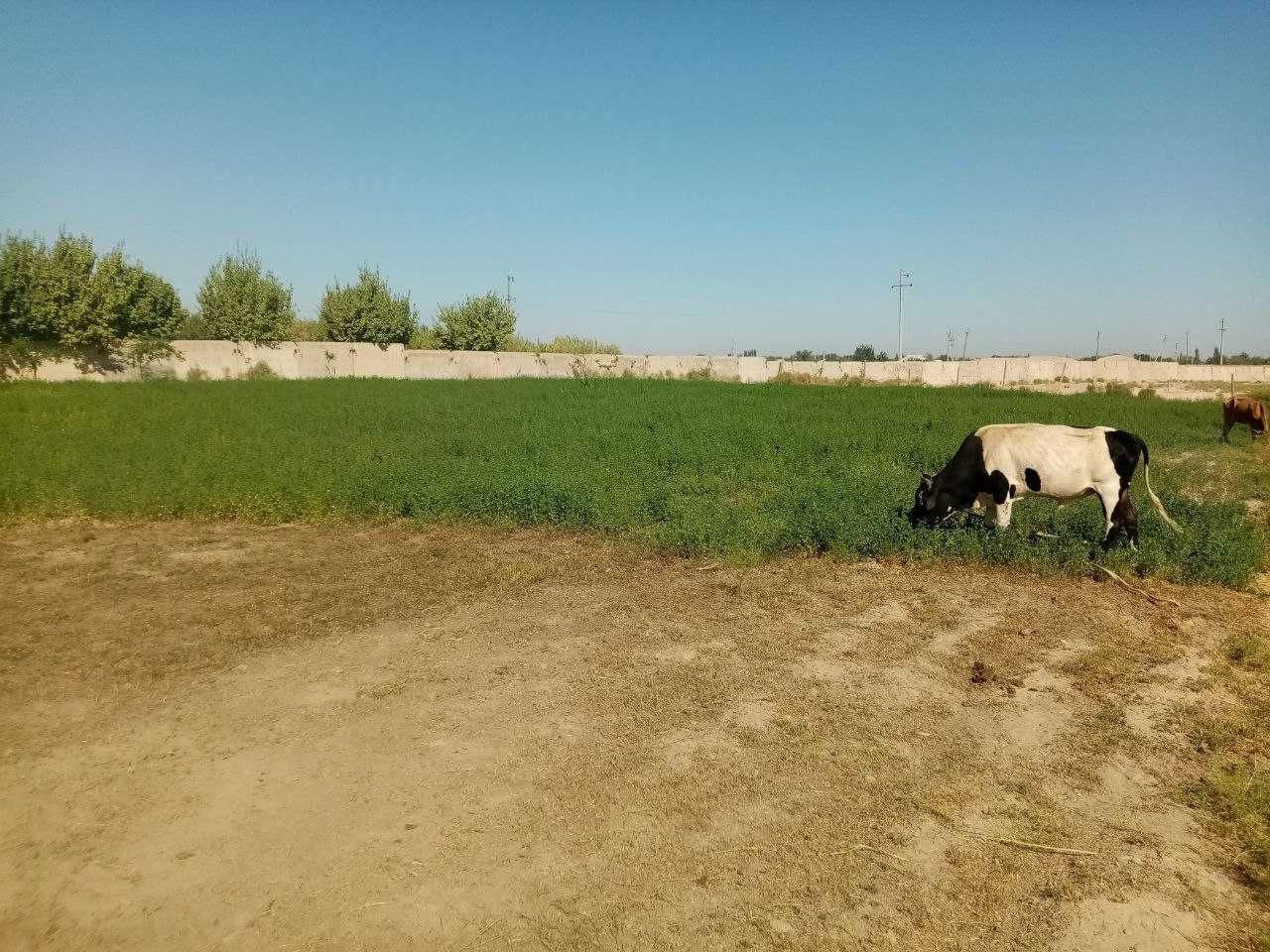 Загородный дом со всеми условиями.