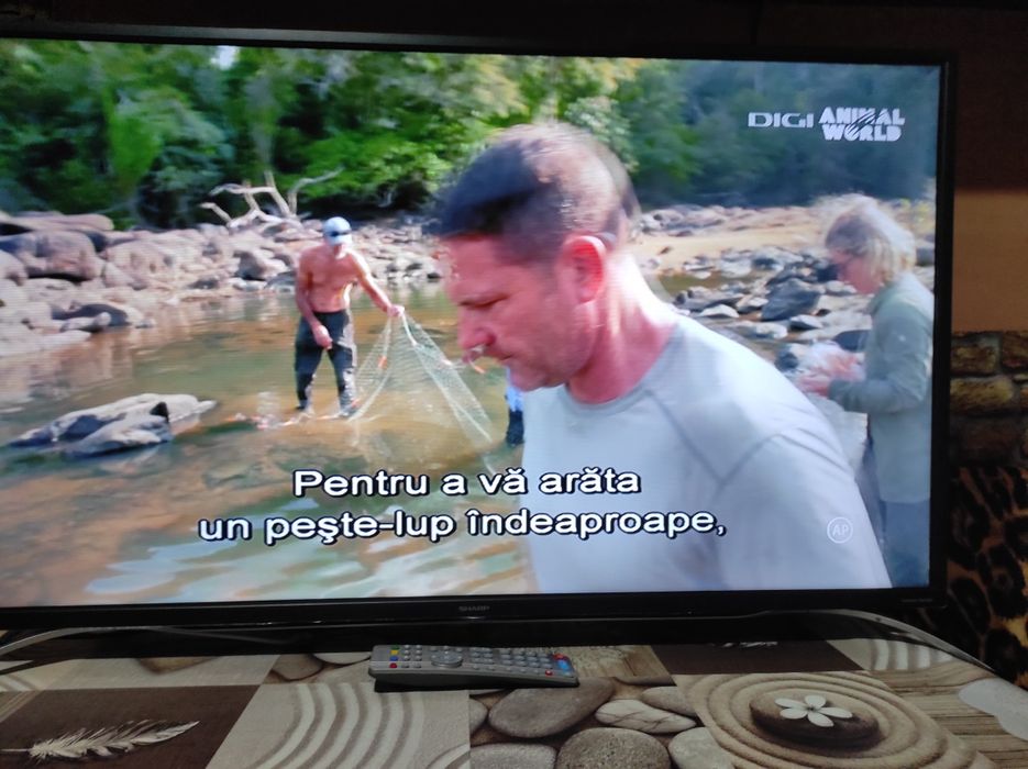 Tv led Smart Sharp 102 cm