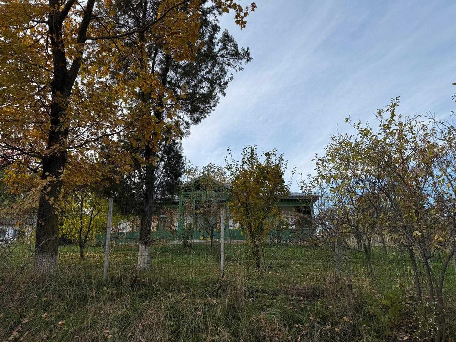 Casă cu teren generos 2311 mp, 3 camere, Soroceni – preț negociabil