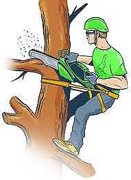 Резане на опасни дървета