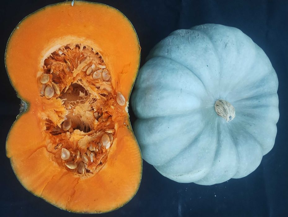 Тикви Сампсон,Матилда