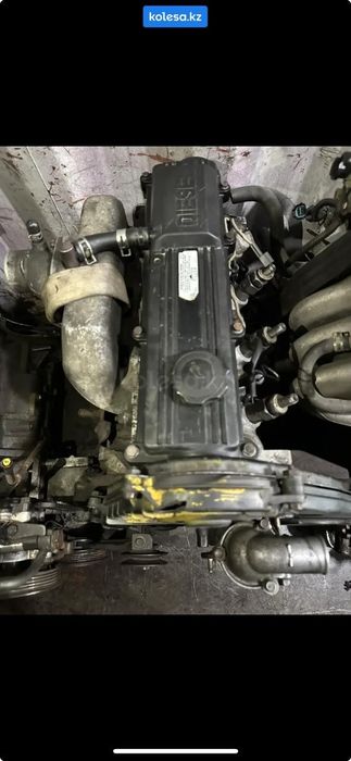 Маторы из европы