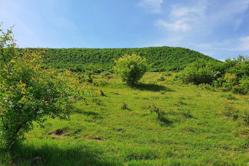 Teren extravilan superb în satul Ciumăfaia, comuna Borșa, Cluj.