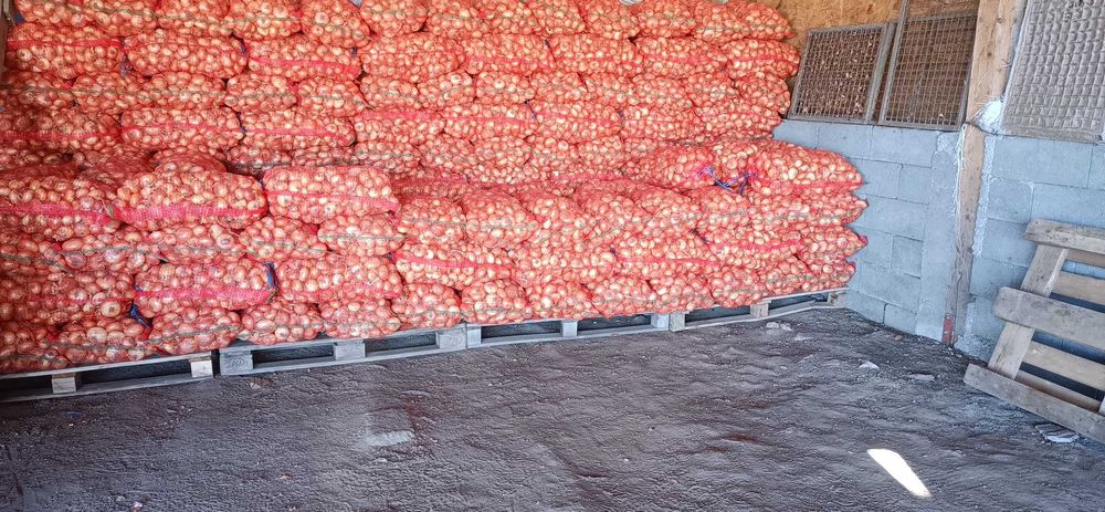 Ceapa plata de vanzare