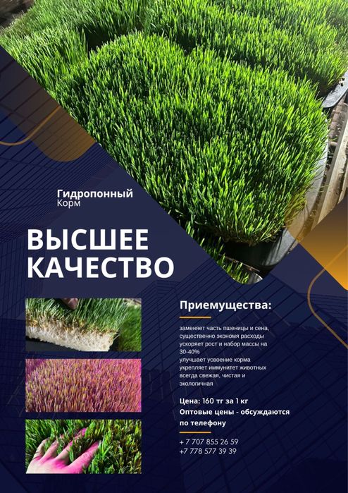 Гидропонный корм