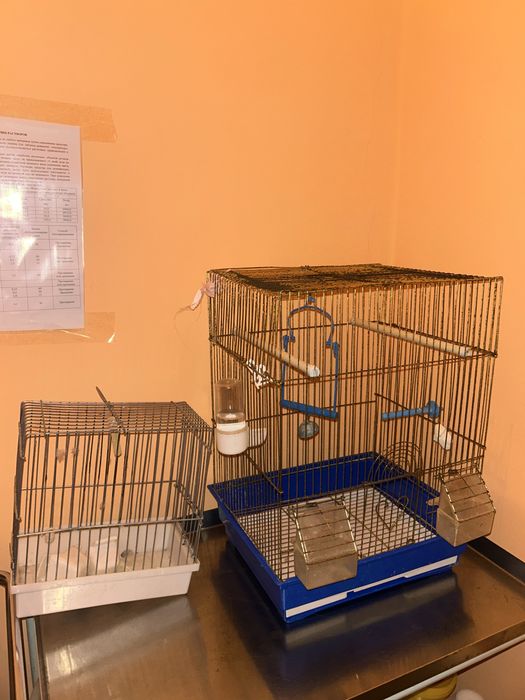 Клетка для попугая