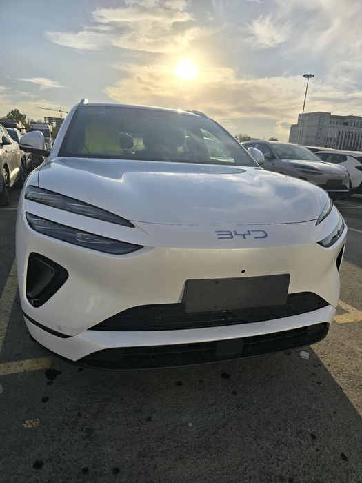 Byd sea lion 06 ev