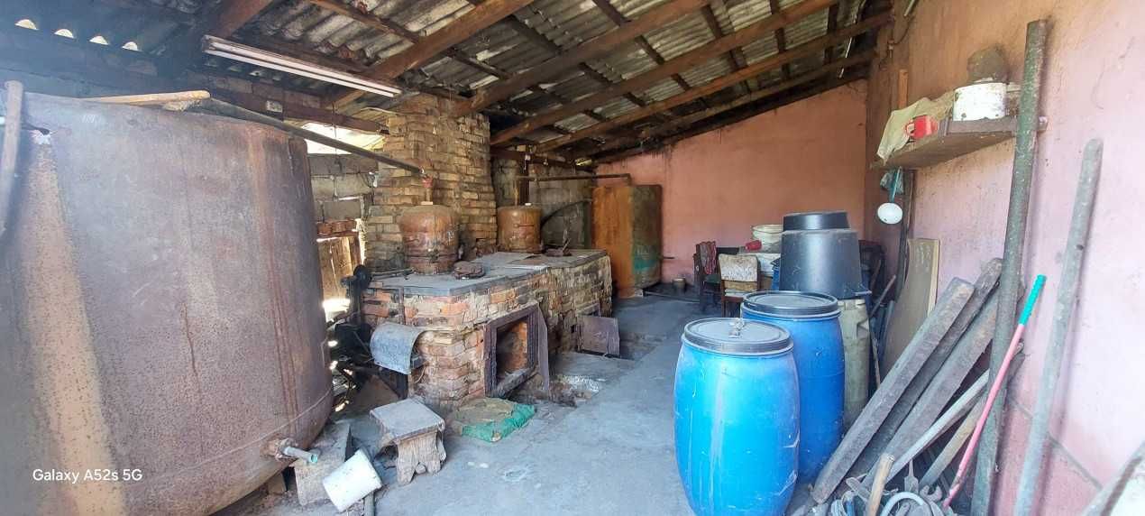 Casa de locuit cu livada, palincie si alte anexe, Str. Panait Cerna