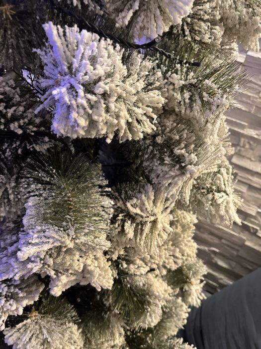 Елха 3 Д заскрежена