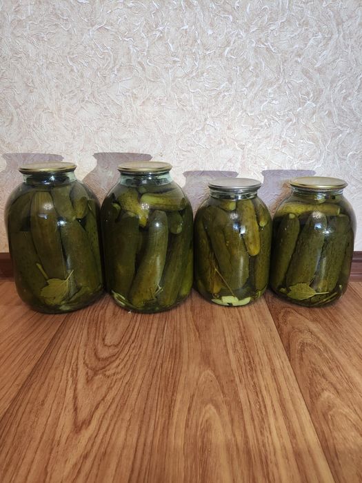 Огурцы консервированные             .