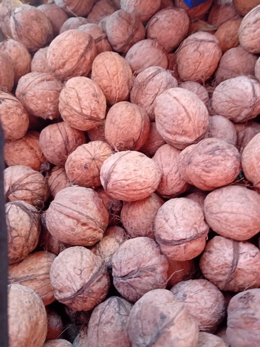 Vând nuci calitate forte bună