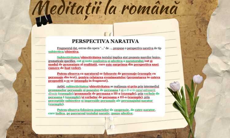 Meditații la Română pentru examene (E.N., BAC, Admitere Facultate)