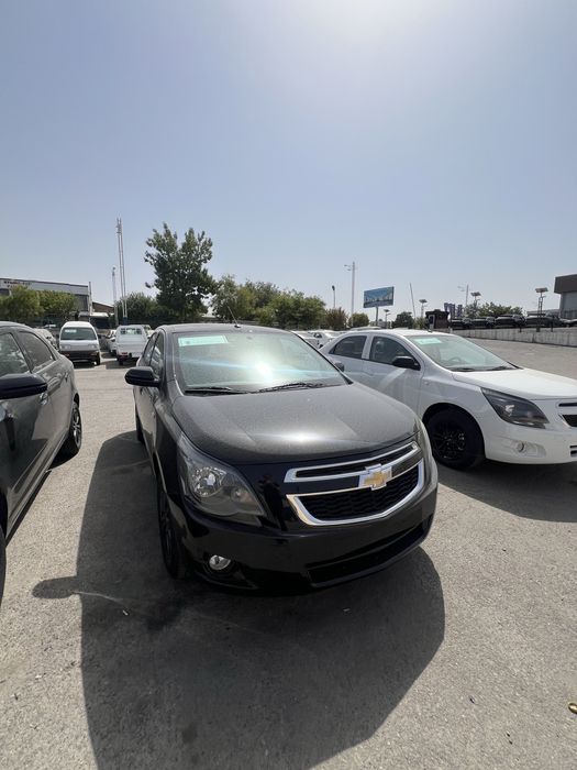 Cobalt midnight 2025