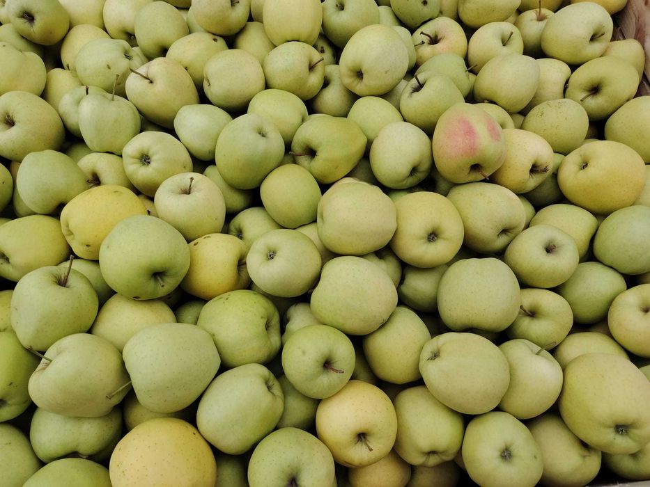 Vand mere si Pere,Polonia cal 1.