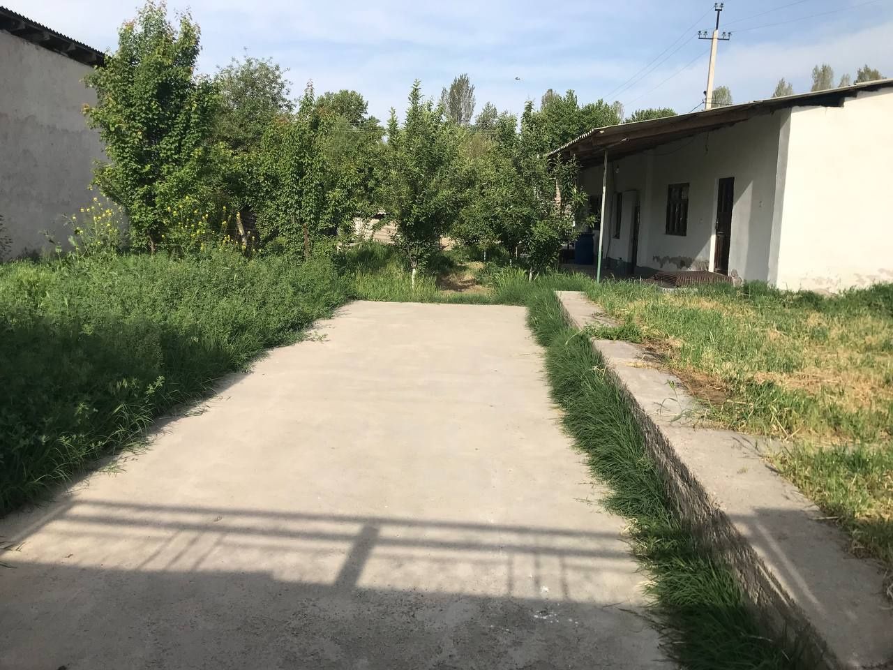 Hovli sotiladi 11.75 sotix