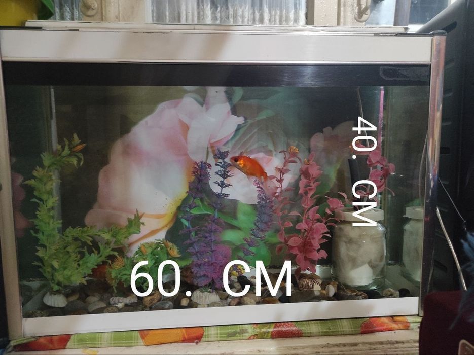 Редми нот 9 S iiiiii