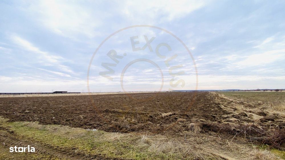 Teren 8973 mp intravilan loc. Albota, jud. Arges. Comision 0%