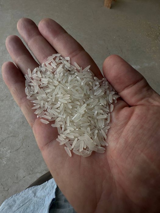 Лазер гуруч сотилади