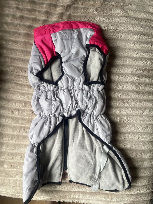 Зимно Яке за Куче