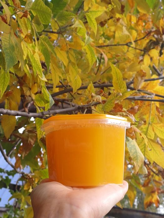 Мёд и медовая продукция