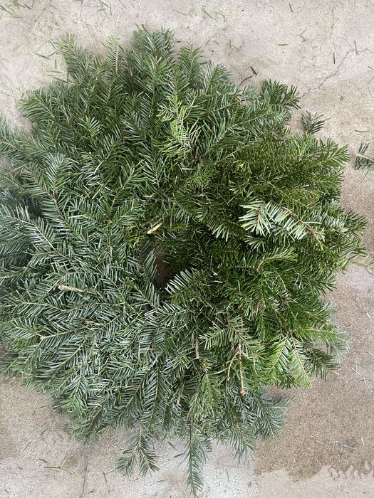 Coronita brad natural