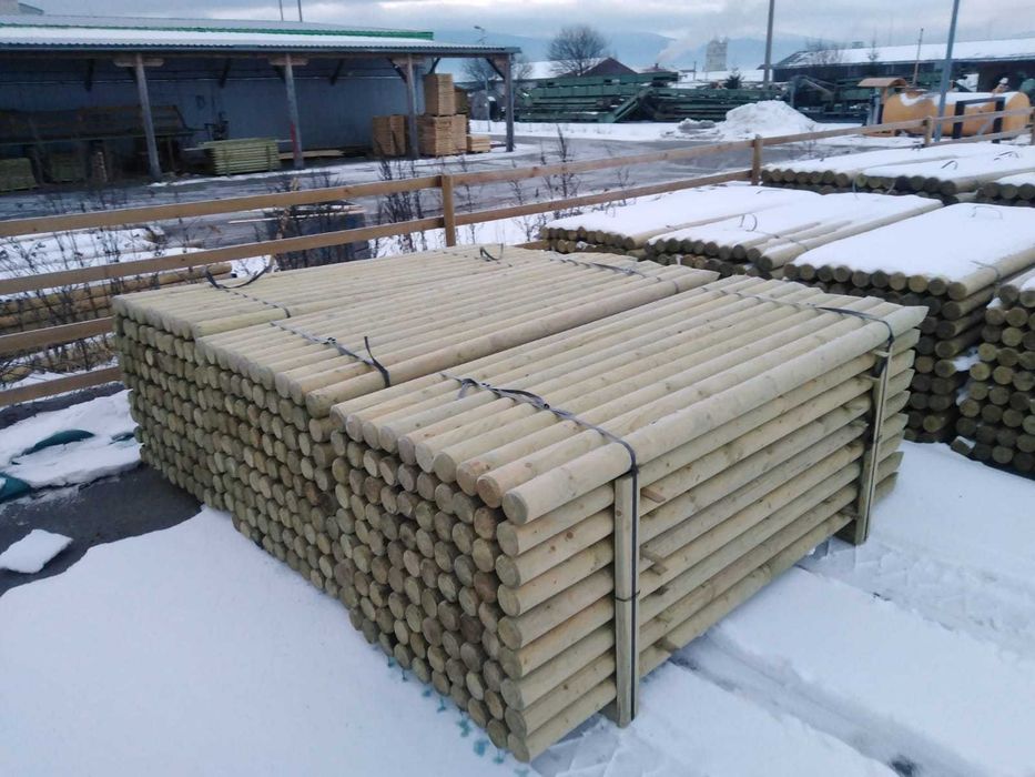 Tutori pentru arbori plantati proaspat