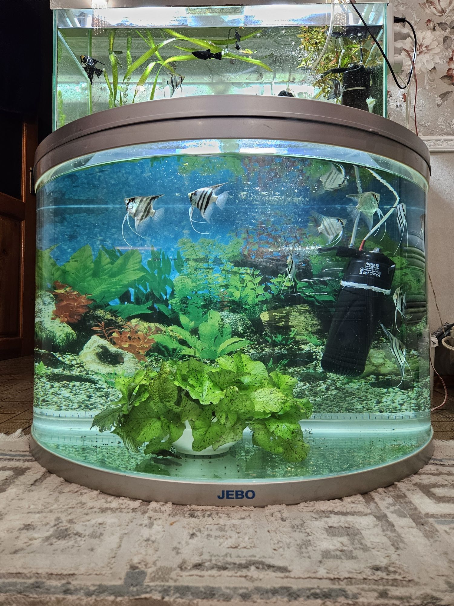 Продам аквариум понорамный