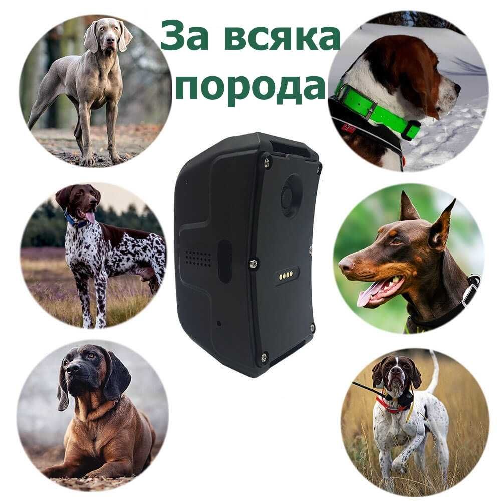 GPS Tracker ДжиПиЕс тракер за ловно куче Icar IK122 pro Синмао 2, Sinm