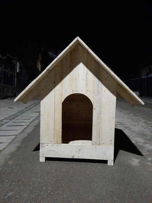 Cusca catei si pisici