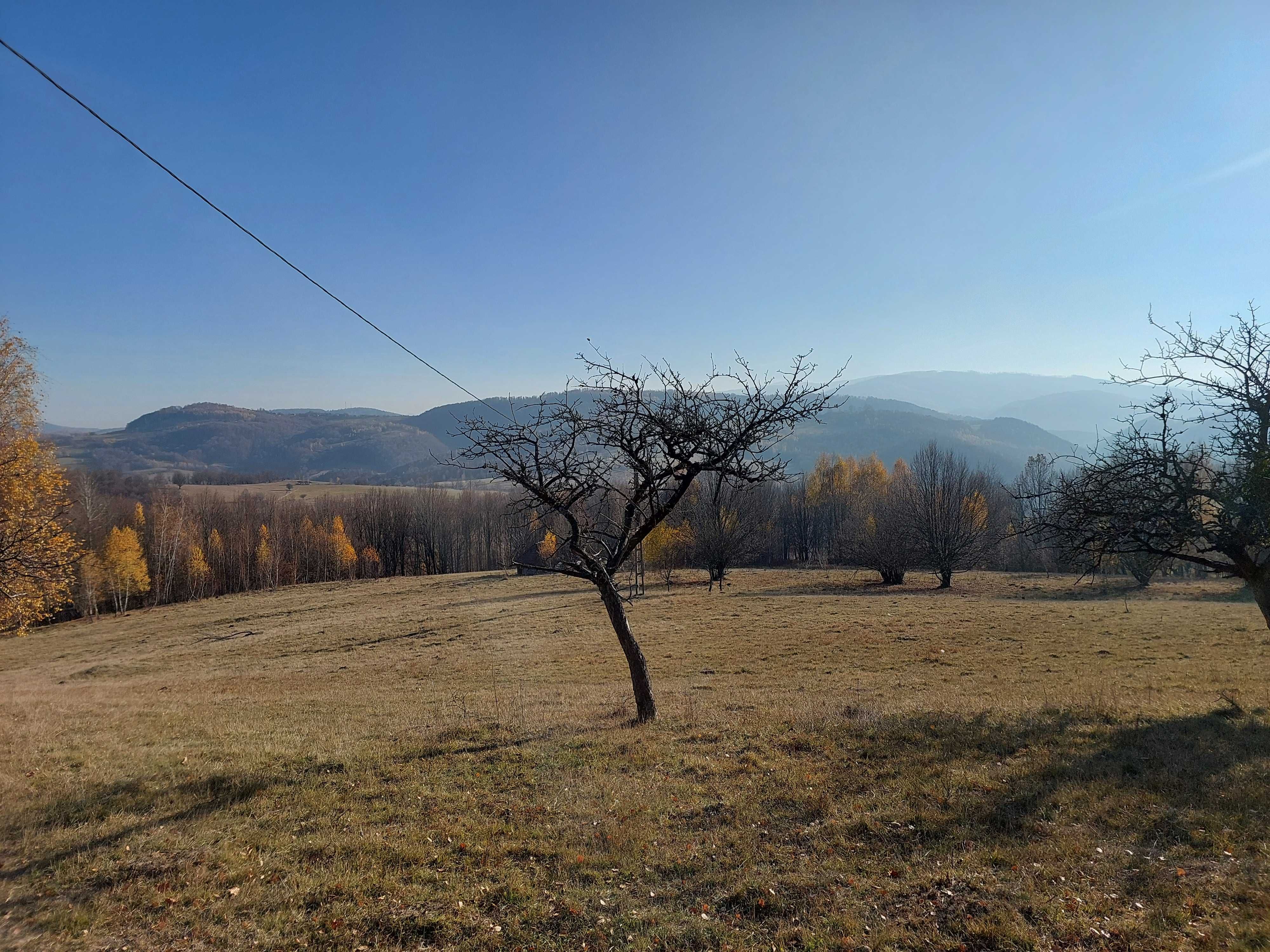 Teren intravilan de vanzare - Suprafata mare