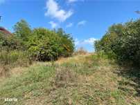 Teren Intravilan 2905  Mp | Diosig