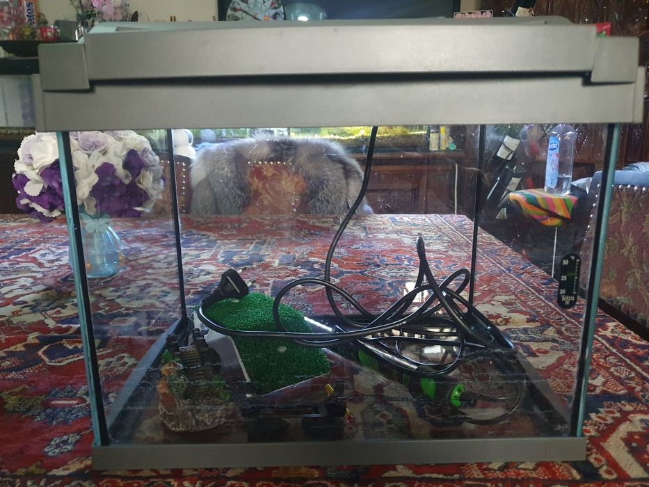 Vand acvariu pentru pesti sau broscuta